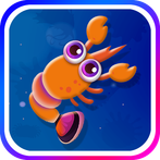 Ocean Evolution : small to BIG