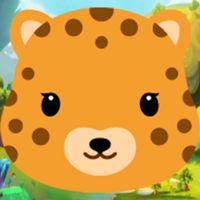 Animals Fun