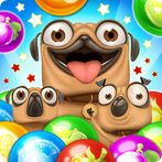Pug Pop Bubble Shooter