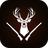 Hunting : Shooting Games