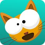 Flat Fat Cat Bounce - Special 