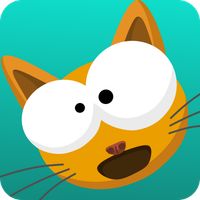 Flat Fat Cat Bounce - Special 