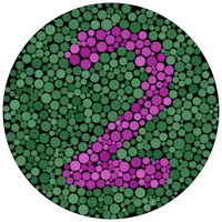 Color Blindness Test
