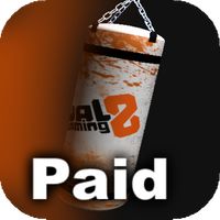 Punching bag Paid