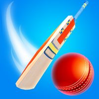 Perfect Cricket Game