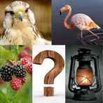 Photo Word Puzzle - Picture Gu