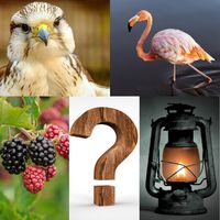 Photo Word Puzzle - Picture Gu