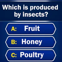 Trivia - Quiz Games