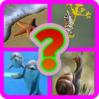 Đoán động vật bị che hình TV