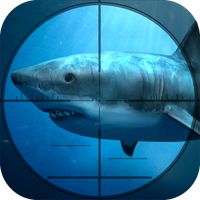 Hunting Fish Shooting : Hunter