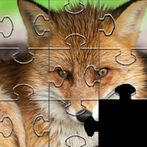 Fox Jigsaw Puzzles Games