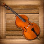 Toddlers Double Bass