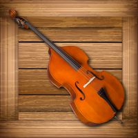 Toddlers Double Bass
