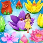 Blossom Flower Paradise