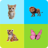 tebak nama hewan dan binatang