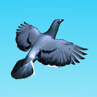Pigeon Tycoon