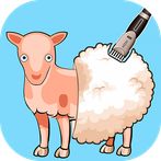 Shearing Wool Factory