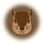 Bubble shotter Squirrel