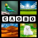 4 Фото 1 слово 2021 Загадка