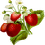 TUTOWK