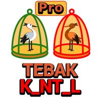Pro Tebak K_NT_L