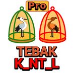 Pro Tebak K_NT_L