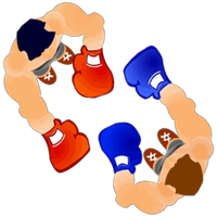 Birds Eye Boxing (Premium)