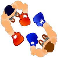 Birds Eye Boxing (Premium)