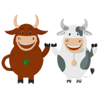 Bulls and Cows
