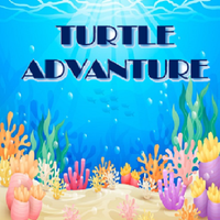 Turtle Adventure