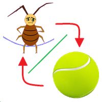 Combo:jump rope & tennis