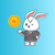 carrot_quiz