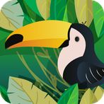 Animais Dispersores da Florest