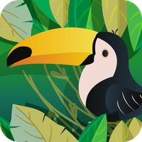 Animais Dispersores da Florest