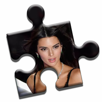 Top Models Puzzle