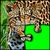 Animal World 3.0