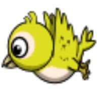Flipin Flappin bird