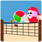 Volleyball Volleybeans