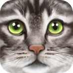 Ultimate Cat Simulator