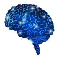 Double Trouble - Brain Trainin