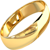 Most Expensive Simple game