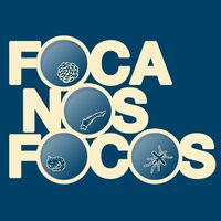 Foca nos Focos