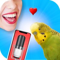 Bird Translator Simulator