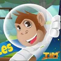 Tim The Traveler