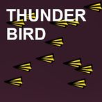 THUNDER BIRD