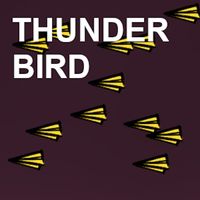 THUNDER BIRD