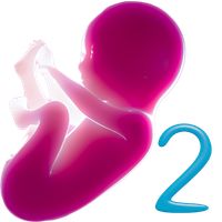 Alima's Baby 2 (Virtual Pet)