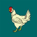 Chickenfoot Dominoes