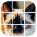 Cats Sliding Puzzle