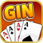 Gin Rummy Offline
